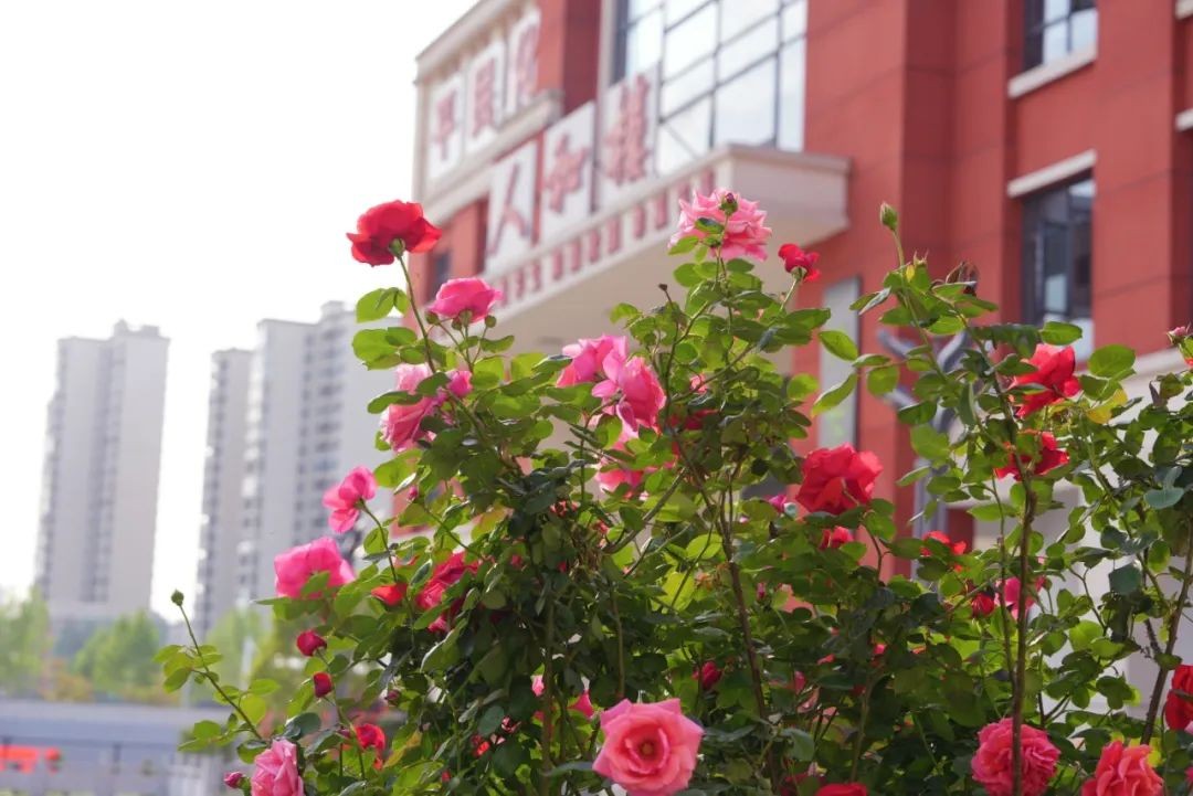 长沙麓谷复读学校.jpg